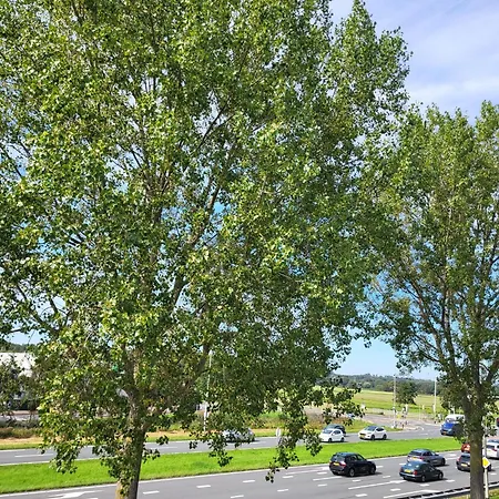Free Parking, Large Near Zandvoort And Centre Homestay *